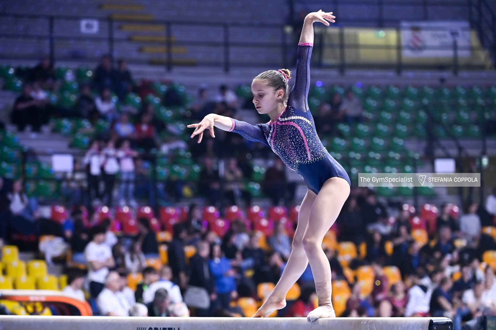 ginnastica